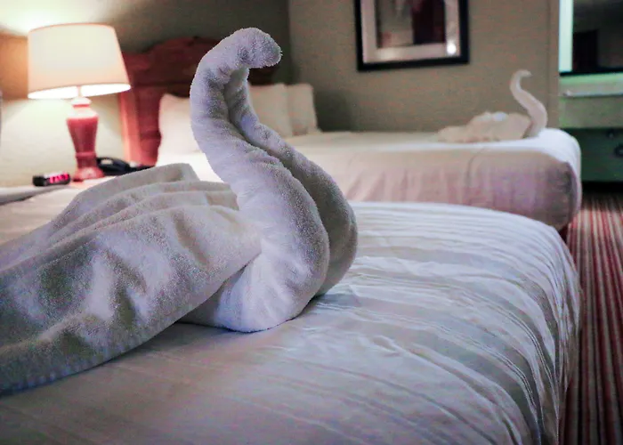 Hotel Dreams 3*